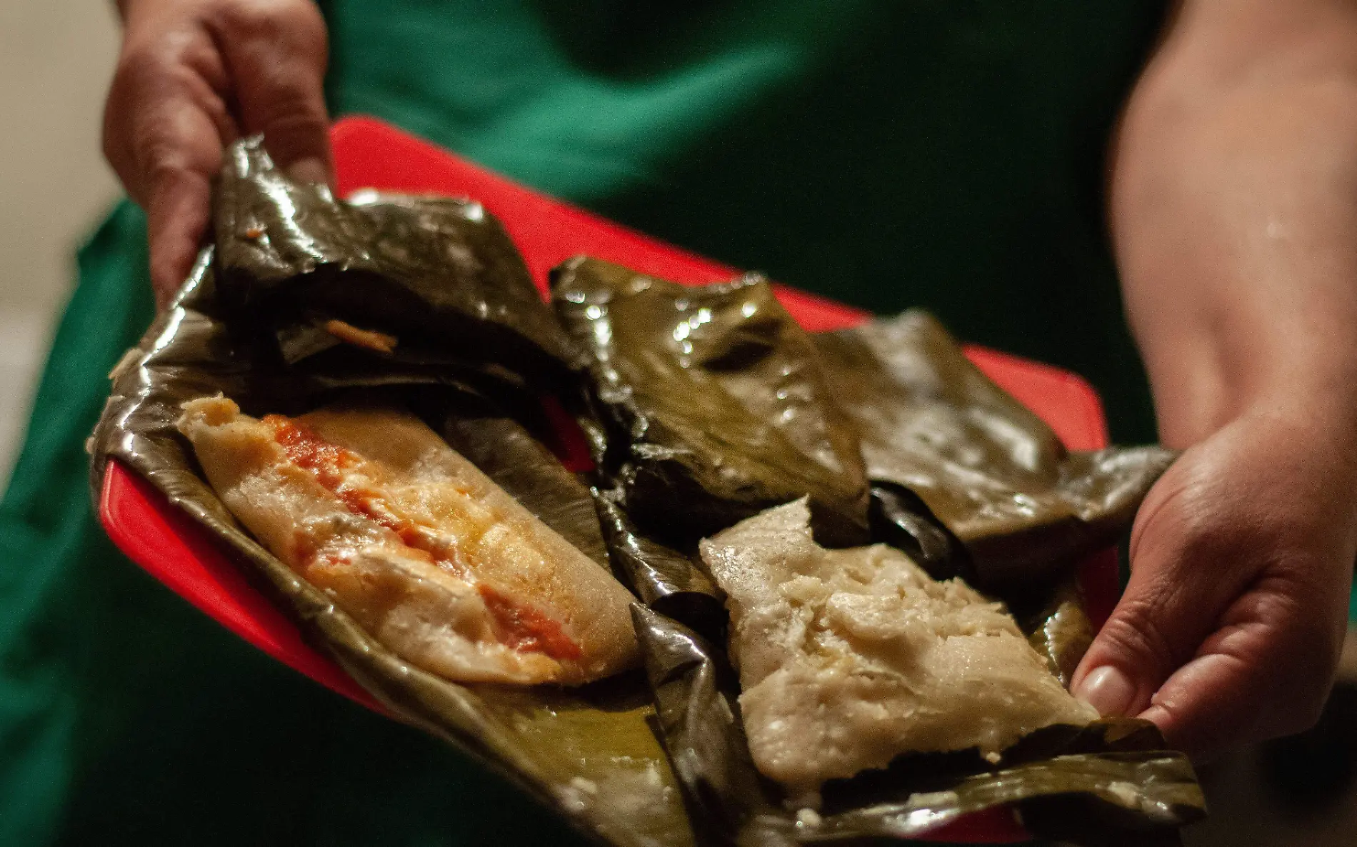 Por qué comemos tamales los mexicanos en el Día de la Candelaria 